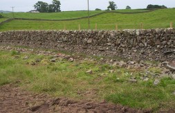 Whinstone new build